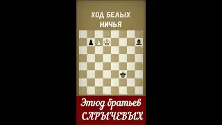 💫 Король НАПУГАЛ пешку и спас партию #chess #chesspuzzle #shortsvideo