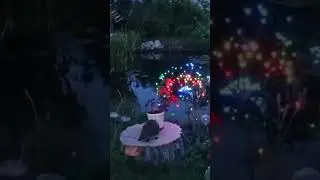Пьяный Ежик