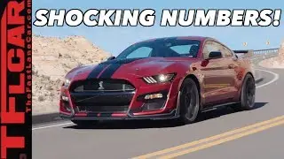 Breaking News: The New 2020 Ford Mustang Shelby GT500 Has an Unbelievable Amount Of Horsepower!