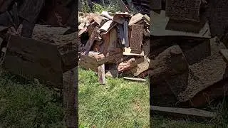 Олимпиаде 2024... посвящается)).    Объявлен конкурс)