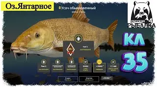 Russian Fishing4 #РР4... Оз.Янтарное , Троф - Усач. Русская рыбалка 4