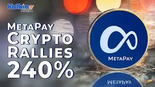 Why MetaPay (METAPAY) crypto zoomed 240% in one day?