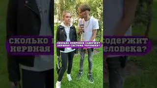 Доказываю, что мужчины умнее женщин! 