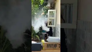 Sale lương về của Tiktok Shop