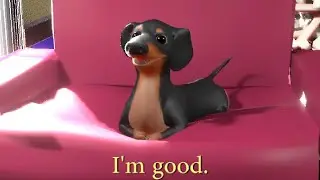 Dog of Wisdom II
