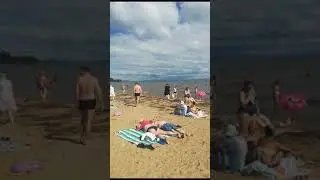 Россия, Владивосток, Шамора. август 2023.
