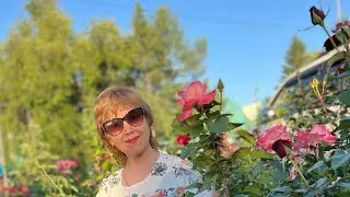 Как правильно делать ВАКУУМ живота!Худеем вместе