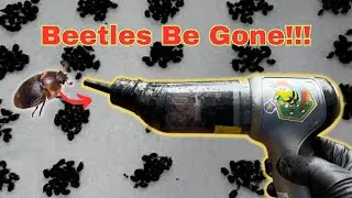 Beekeeper vs Winter Hive Beetles? The War Continues!!!