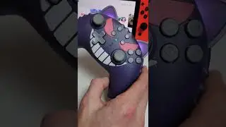 never seen a controller like this before.. 😺