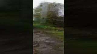 выживание с @catblits