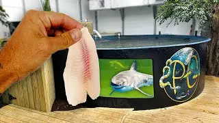 FEEDING ALL My MONSTER FISH in 5,500G AQUARIUM!!