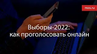 Выборы-2022: как проголосовать онлайн