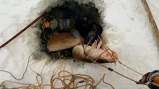 Вторая проверка перемета. НАЛИМЫ СКРУТИЛИ ВСЕ В КУЧУ. 