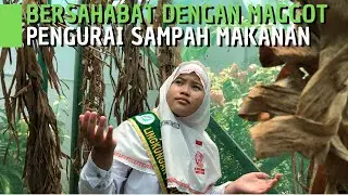 Cerdas Menggunakan Maggot Sebagai Pengolah Sampah Organik Sisa Makan Siang Sekolah