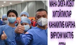 ХИТОЙЛИКЛАР КАРОНА ВИРУСНИ МАГЛУБ ЭТДИ МАНА СИЗГА ИСБОТ АЛБАТА КОРИНГ