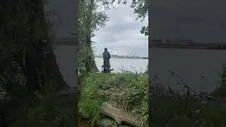 С тестем на рыбалке 🎣 