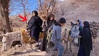 The Doora Family and Grandmother’s Quest for Warmth: Gathering Firewood in the Mountains