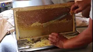 Вкусное видео