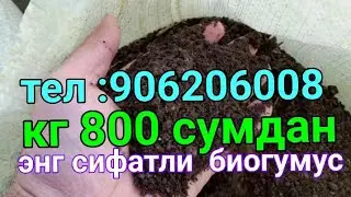 Энг сифатли ва энг арзон биогумус етказиб берамиз.