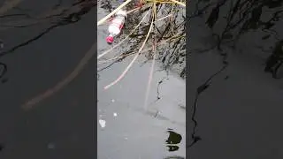 ЧТО ЭТО ЗА МОНСТР???? Рыбалка на бутылки? Маше мнение, что это было?