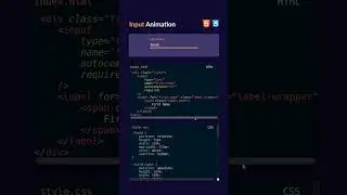 input animation tutorial | html tutorial 