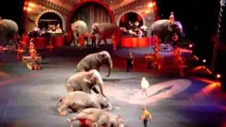 Circus tampa bay part 3 elephant.AVI