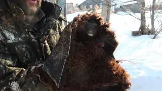 Норка в гараже