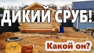Такого ВЫ НЕ ВИДЕЛИ. КРУТАЯ БАНЯ. ДИКИЙ СРУБ