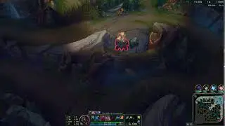 League of Legends invisible