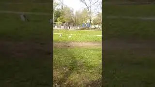 просто май