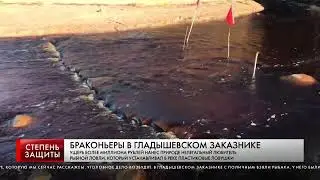 БРАКОНЬЕРЫ В ГЛАДЫШЕВСКОМ ЗАКАЗНИКЕ