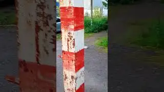 Бездомный Котейка Куда пропал #помощь_животным #котик