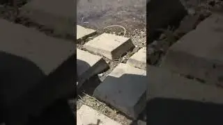 Bass caught on first cast with new lure 