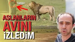 Safari in Africa! I watched lions hunt!