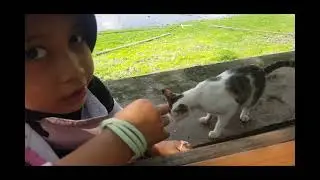Objek Wisata SITU GEDE di TASIKMALAYA! INDAH PISAN,,,, #wisataalam #tasikmalaya #situgede
