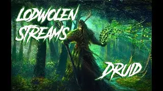 Р Друид, pvp, бг и прочее