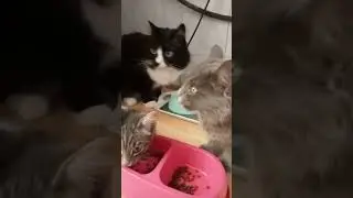 Время перекуса!
