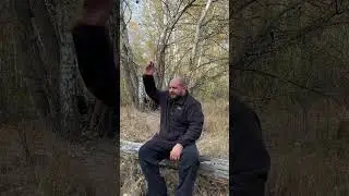 Сидел у костра, подкрался медведь...