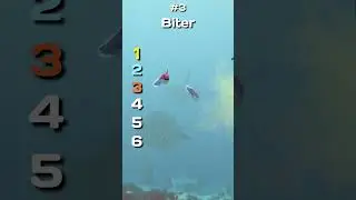 Blind Rank These Subnautica Creatures