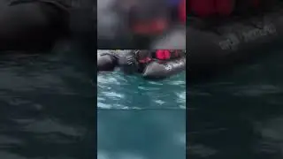 Морской Леопард Напал На Лодку