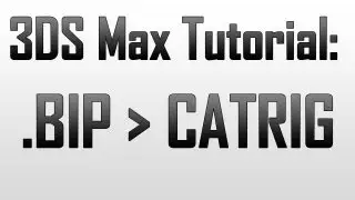 Biped {BIP) to CATRig for animation in 3DS Max