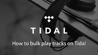 Music Play Bot | How to Play Tracks in Bulk on Tidal