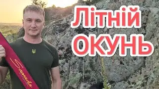 ✅ СПРАВЖНІЙ ПОТУЖНИЙ ЛІТНІЙ ОКУНЬ на спінінг  Рибалка на спінінг літом ловля окуня 2023