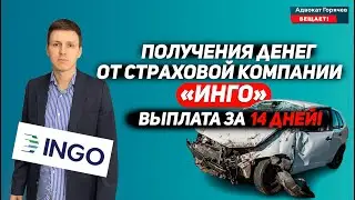 Получения денег от страховой компании Инго за 14 дней! Чёткий план действий! Европротокол!