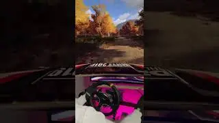 The BEST Dirt Rally Stage?? 