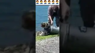 Жена провалилась жопой в ведро! Взял жену на рыбалку!😂😂😂👍💯