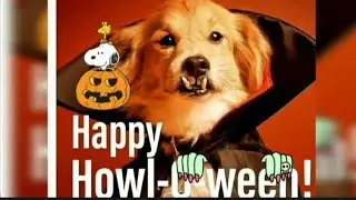 #holloween #night 👻The Hottest Halloween Costumes of 2024