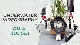 Budget Premium Underwater Camera Rig: What’s My Gear Setup?
