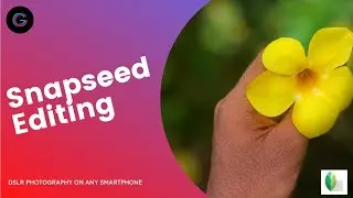 How to blur photos in android | Snapseed | DSLR  photography in smartphone