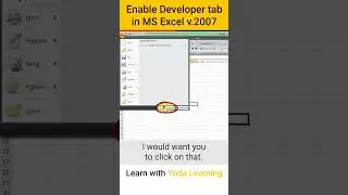 Enable Developer Tab in Excel (v. 2007)